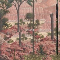 ZOO - Jetta