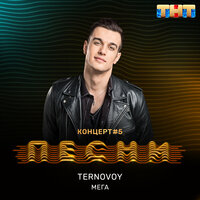МЕГА - TERRY