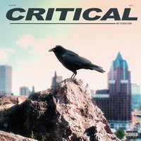 Critical - IshDARR
