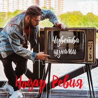 Чувства цунами - Нодар Ревия