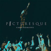 Scars to Your Beautiful - Picturesque