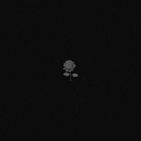 City of the Rose - Tyus