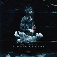 Summer of Cane - Juelz Santana, Young Ja