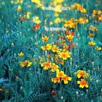Stop Messin Round / Take 5 - Fleetwood Mac