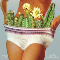 There’s a Brain in My Head - White Denim