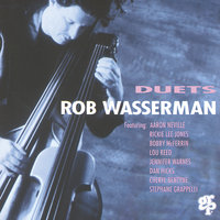 One For My Baby (And One More For The Road) - Rob Wasserman, Lou Reed