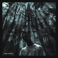 Аквариум - STED.D
