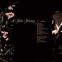 The Well - A Fine Frenzy