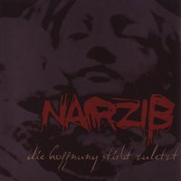 Entstelltes Bild - Narziss