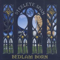 Who Told The Butcher - Steeleye Span