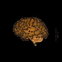 97' - Kojey Radical, Sokari, 404