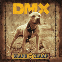 Dog Intro - DMX