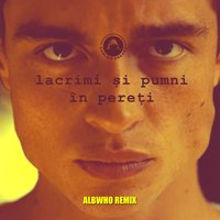 Lacrimi Şi Pumni În Pereţi - Carla's Dreams