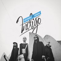 Indigo - Green Grey, YARMAK