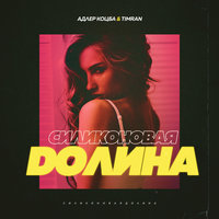 Силиконовая долина - Адлер Коцба, Timran