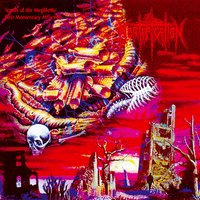 Butchered Mutilation - Mortification