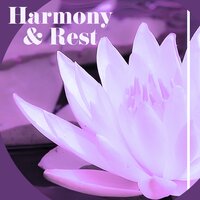 Harmony - Guided Meditation Music Zone