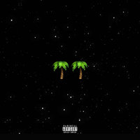 Tropicana - Show Dem Camp, Flash
