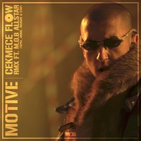 Çekmece Flow - Tepki, Stap