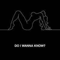 2013 - Arctic Monkeys