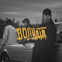 Волчата - YARMAK