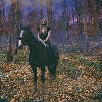 Bonden og Kragen - Myrkur