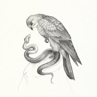 Flying to Berlin - Savages