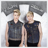Perfect Wonderland - Jedward