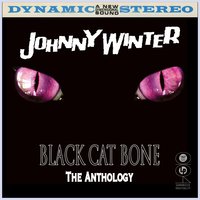 Messin' With The Kid - Johnny Winter