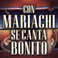 Eres Mi Necesidad - El Bebeto