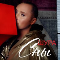Сны - Шура