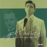 Bir Rüzgardır Gelir Geçer Sanmıştım - Zeki Müren