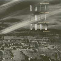 Pocket Full Of Change - Rain Tree Crow