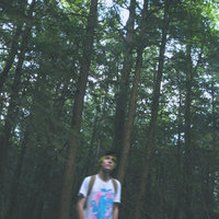 Old Roots - guardin