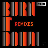 Burn It Down - Lulleaux, LNY TNZ