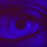 Won't - Darci