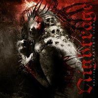 Collision Of Fate - Nightrage