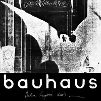Bite My Hip - Bauhaus