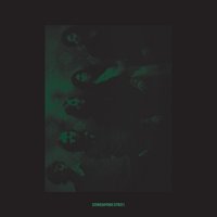Tamer Animals - Other Lives, Atoms For Peace