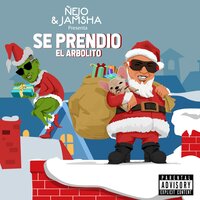 Navidad 2 - Nejo, Dalmata