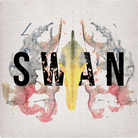 Swan - Her Name is Calla