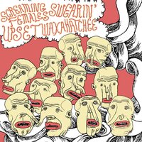 A Good Flying Bird - Screaming Females