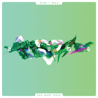 You Want More - 3LAU, MAX