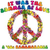 Who Do You Love - John Hammond