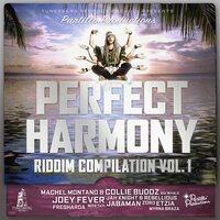 Fly Away - Machel Montano, Collie Buddz