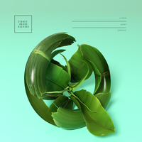 Zimt - LissA