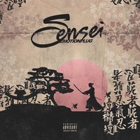 Sensei - Emotionplug