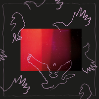 Birds - Kiki, Lykke Li