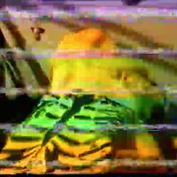 VeganLeather - BONES
