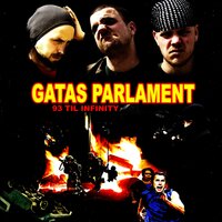 Ungdommens Råskap - Gatas Parlament, Jester, Flexi